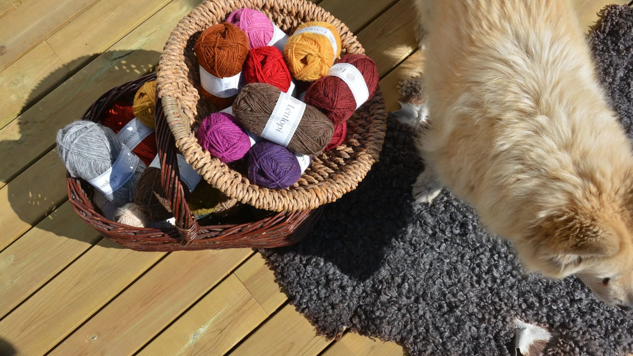 Kurv med farverigt strikkegarn fra Nordisk Garn med en hund ved siden af